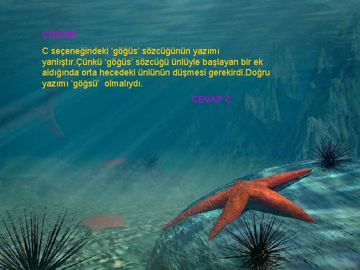 ÇÖZÜM: C seçeneğindeki ‘göğüs’ sözcüğünün yazımı yanlıştır. Çünkü ‘göğüs’ sözcüğü ünlüyle başlayan bir ek