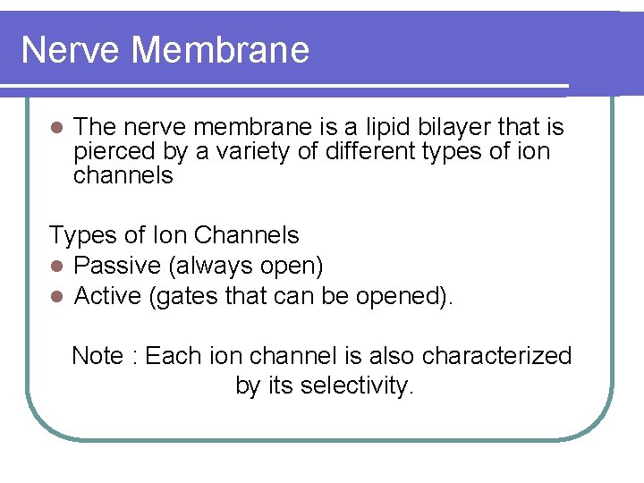 Nerve Membrane l The nerve membrane is a lipid bilayer that is pierced by