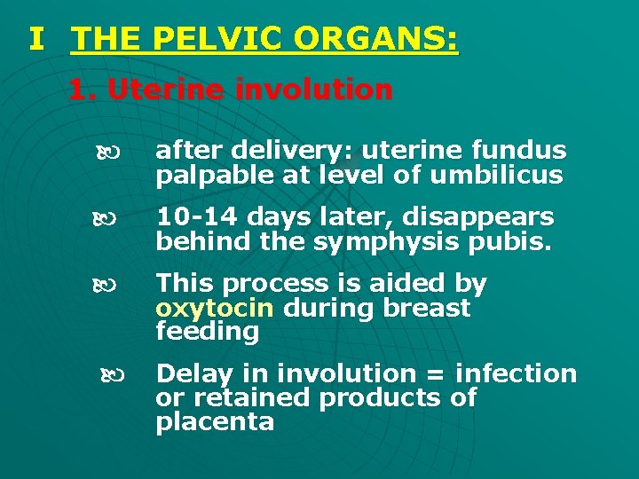 I THE PELVIC ORGANS: 1. Uterine involution after delivery: uterine fundus palpable at level