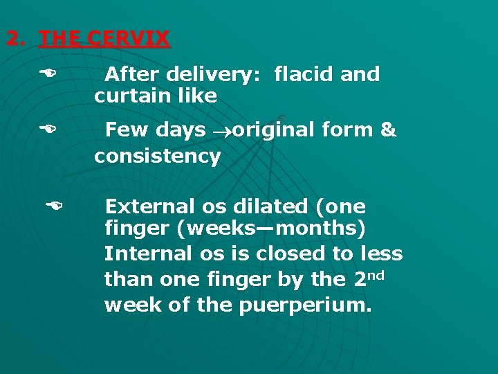 2. THE CERVIX After delivery: flacid and curtain like Few days original form &