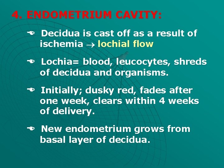 4. ENDOMETRIUM CAVITY: Decidua is cast off as a result of ischemia lochial flow