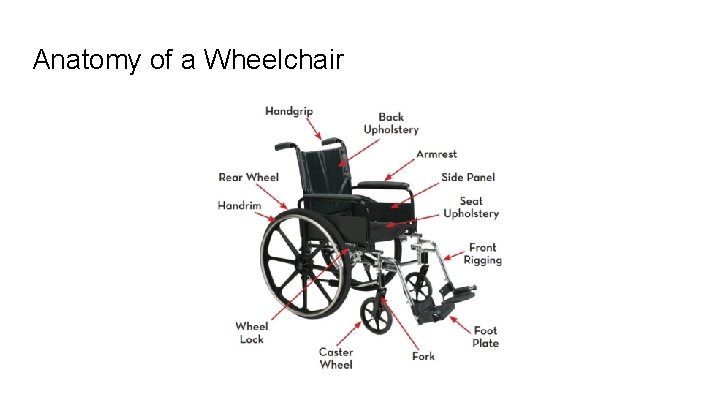 Anatomy of a Wheelchair 