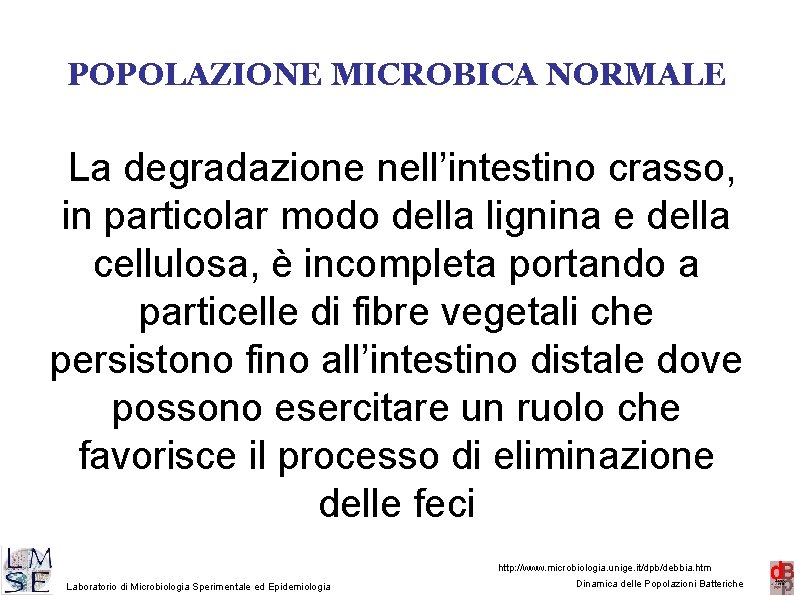 POPOLAZIONE MICROBICA NORMALE La degradazione nell’intestino crasso, in particolar modo della lignina e della