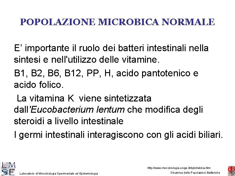 POPOLAZIONE MICROBICA NORMALE E’ importante il ruolo dei batteri intestinali nella sintesi e nell'utilizzo