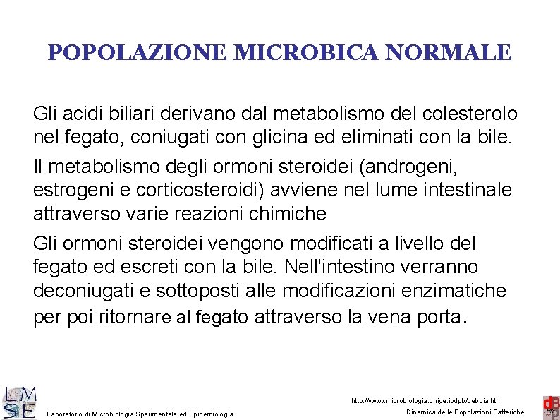 POPOLAZIONE MICROBICA NORMALE Gli acidi biliari derivano dal metabolismo del colesterolo nel fegato, coniugati