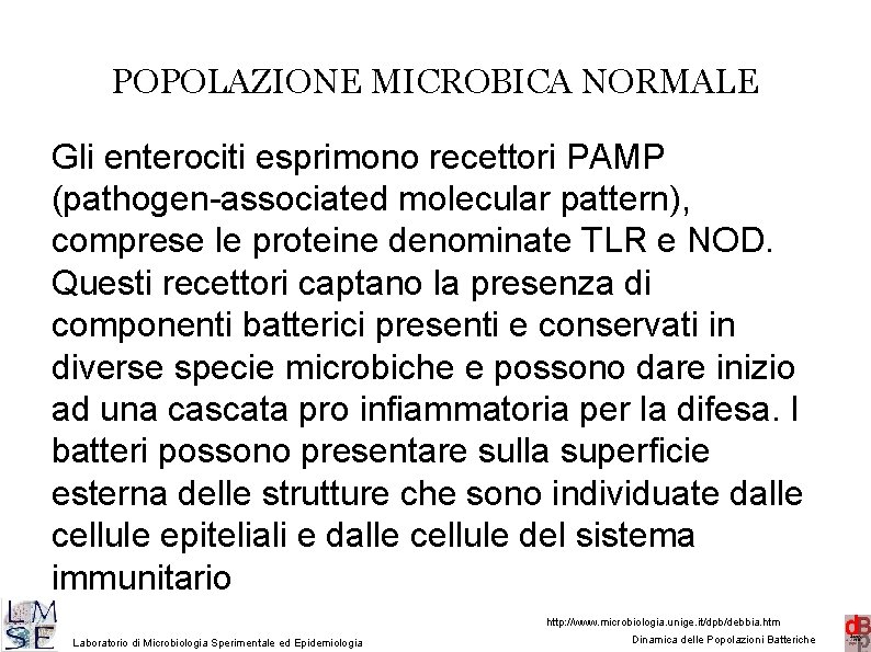 POPOLAZIONE MICROBICA NORMALE Gli enterociti esprimono recettori PAMP (pathogen-associated molecular pattern), comprese le proteine