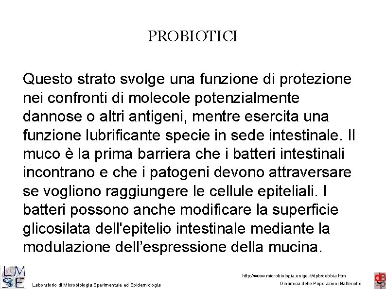 PROBIOTICI Questo strato svolge una funzione di protezione nei confronti di molecole potenzialmente dannose