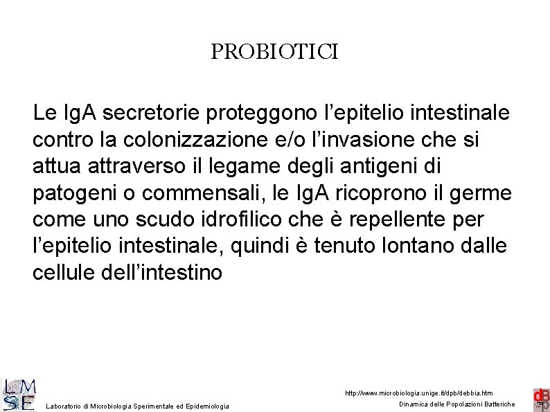 PROBIOTICI Le Ig. A secretorie proteggono l’epitelio intestinale contro la colonizzazione e/o l’invasione che