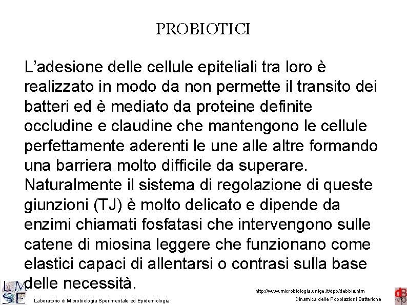 PROBIOTICI L’adesione delle cellule epiteliali tra loro è realizzato in modo da non permette