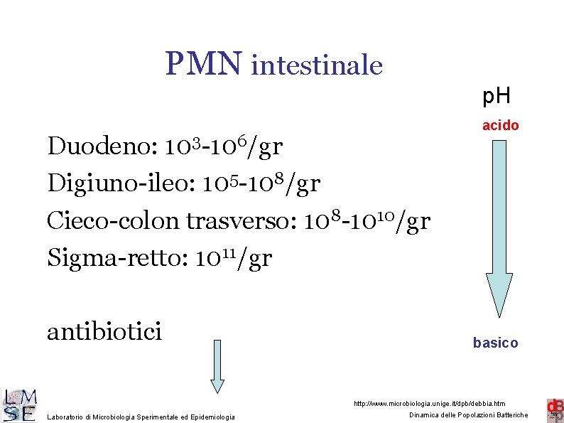 PMN intestinale p. H Duodeno: 103 -106/gr Digiuno-ileo: 105 -108/gr Cieco-colon trasverso: 108 -1010/gr