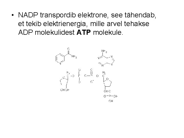  • NADP transpordib elektrone, see tähendab, et tekib elektrienergia, mille arvel tehakse ADP