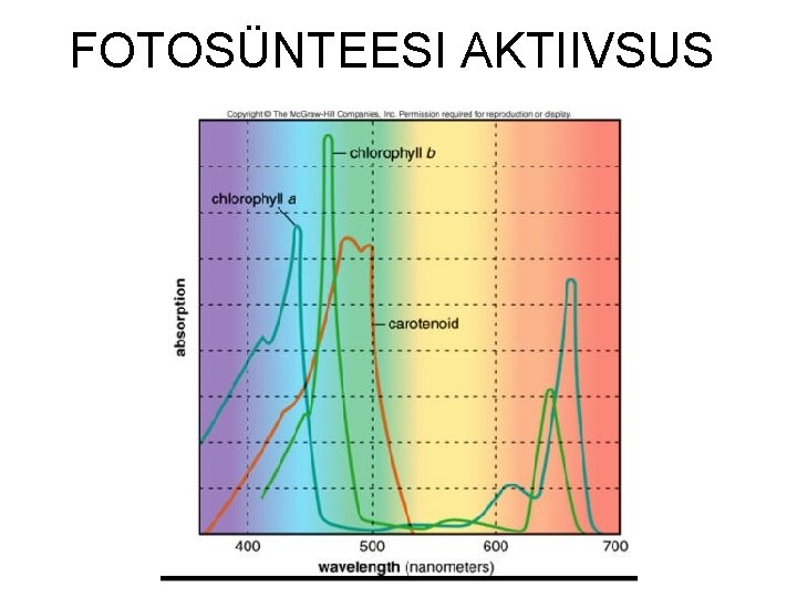 FOTOSÜNTEESI AKTIIVSUS 