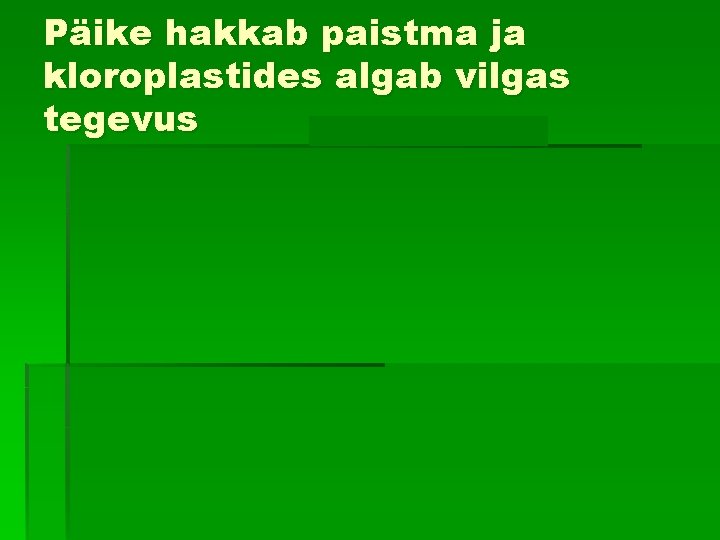 Päike hakkab paistma ja kloroplastides algab vilgas tegevus 