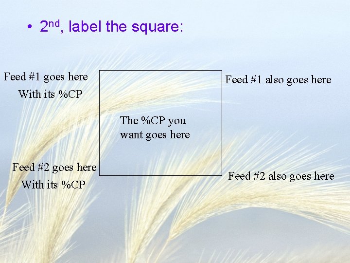  • 2 nd, label the square: Feed #1 goes here With its %CP
