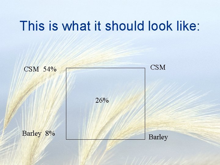 This is what it should look like: CSM 54% 26% Barley 8% Barley 