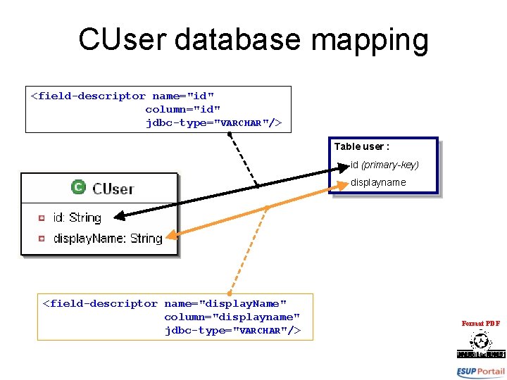 CUser database mapping <field-descriptor name="id" column="id" jdbc-type="VARCHAR"/> Table user : - id (primary-key) -