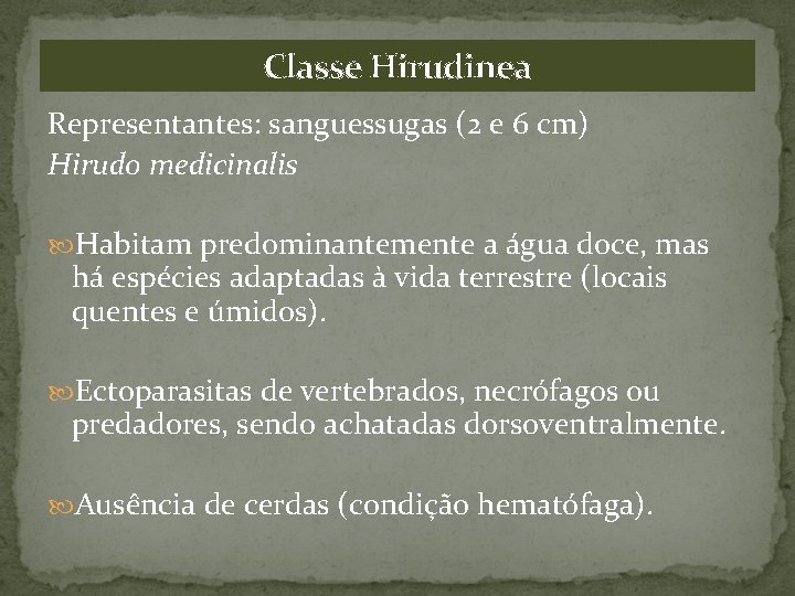 Classe Hirudinea Representantes: sanguessugas (2 e 6 cm) Hirudo medicinalis Habitam predominantemente a água