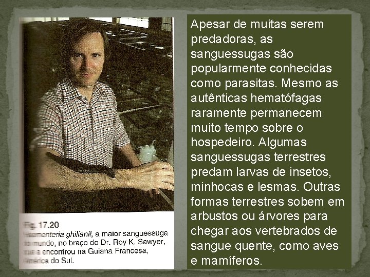 Apesar de muitas serem predadoras, as sanguessugas são popularmente conhecidas como parasitas. Mesmo as