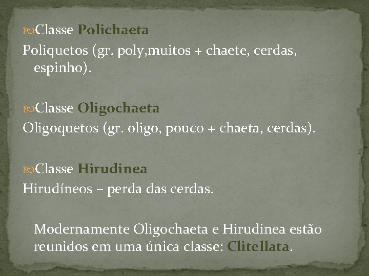  Classe Polichaeta Poliquetos (gr. poly, muitos + chaete, cerdas, espinho). Classe Oligochaeta Oligoquetos