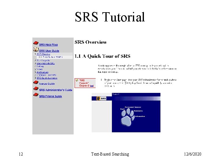 SRS Tutorial 12 Text-Based Searching 12/6/2020 