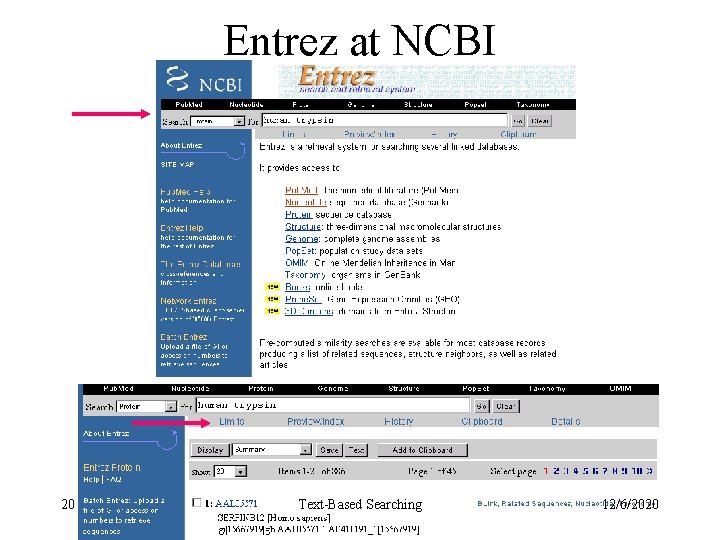 Entrez at NCBI 20 Text-Based Searching 12/6/2020 