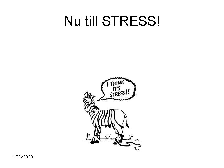 Nu till STRESS! 12/6/2020 