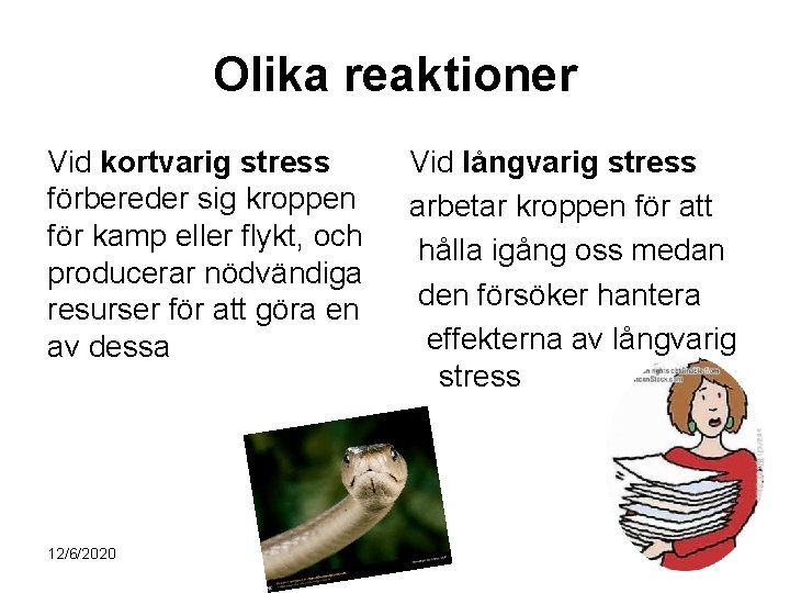 Olika reaktioner Vid kortvarig stress förbereder sig kroppen för kamp eller flykt, och producerar