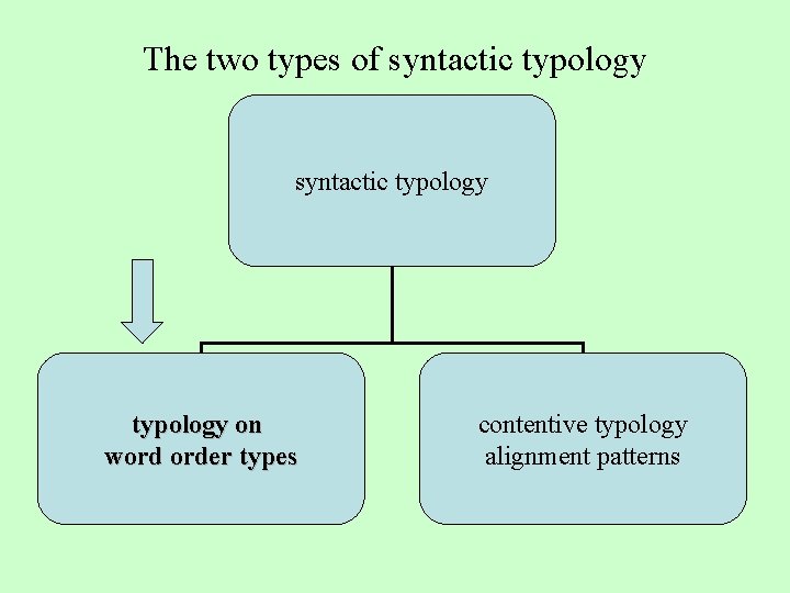 The two types of syntactic typology on word order types contentive typology alignment patterns