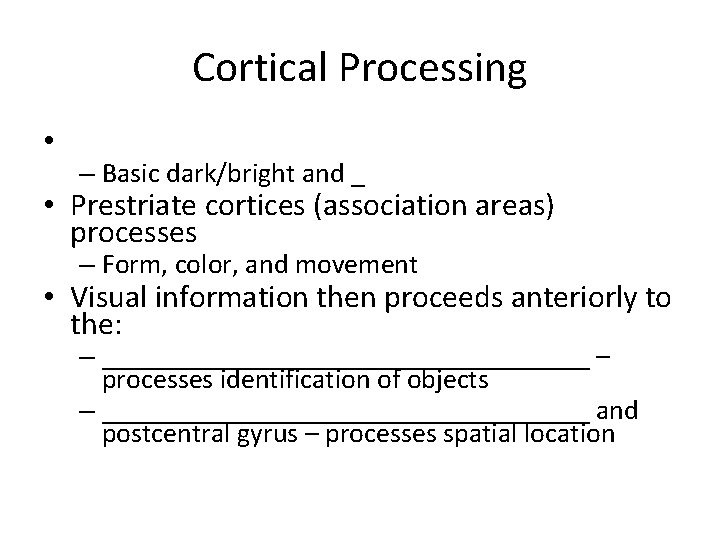 Cortical Processing • – Basic dark/bright and _ • Prestriate cortices (association areas) processes