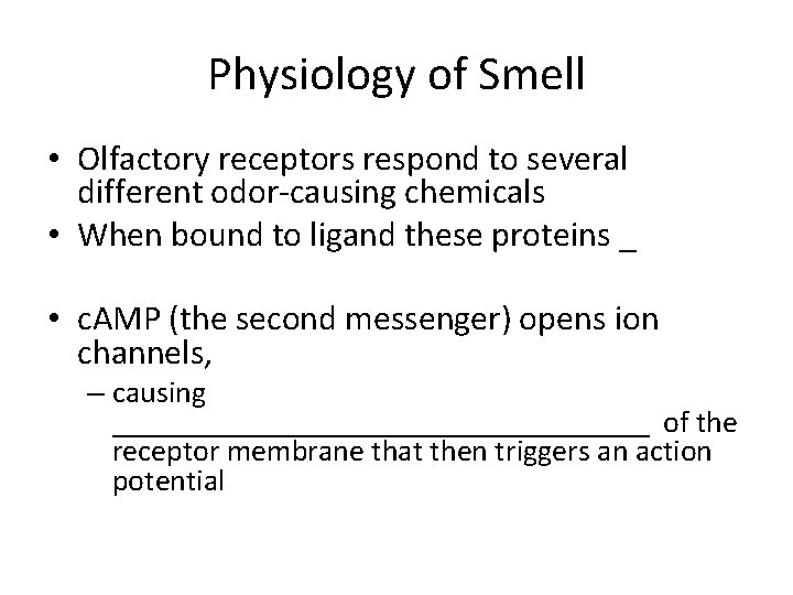 Physiology of Smell • Olfactory receptors respond to several different odor-causing chemicals • When