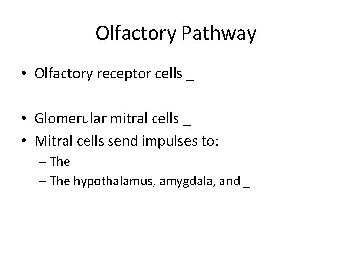 Olfactory Pathway • Olfactory receptor cells _ • Glomerular mitral cells _ • Mitral
