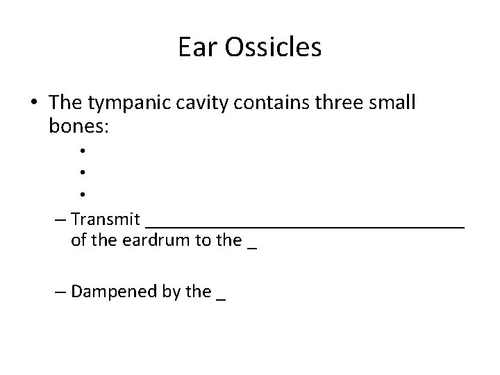 Ear Ossicles • The tympanic cavity contains three small bones: • • • –