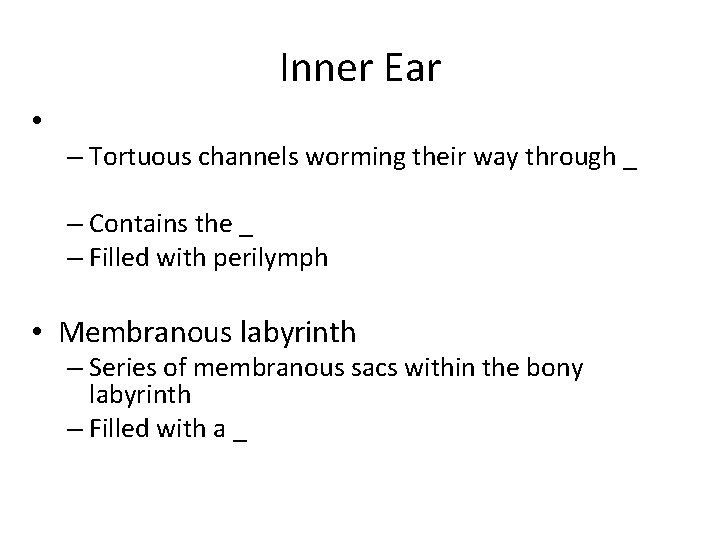 Inner Ear • – Tortuous channels worming their way through _ – Contains the