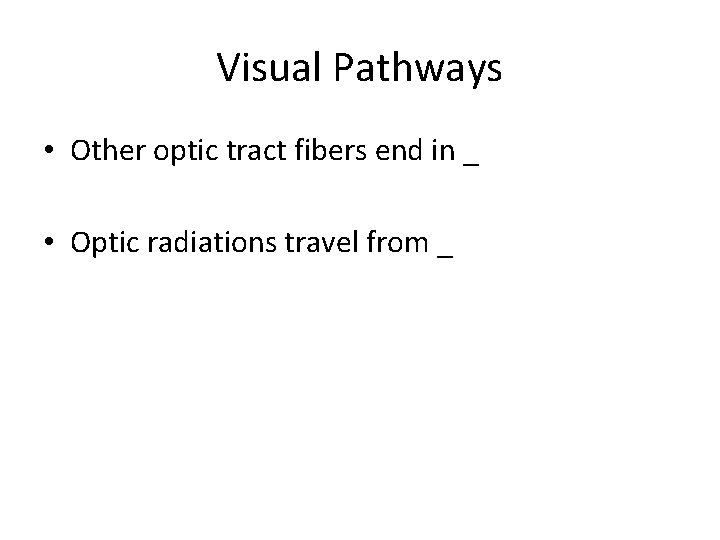Visual Pathways • Other optic tract fibers end in _ • Optic radiations travel