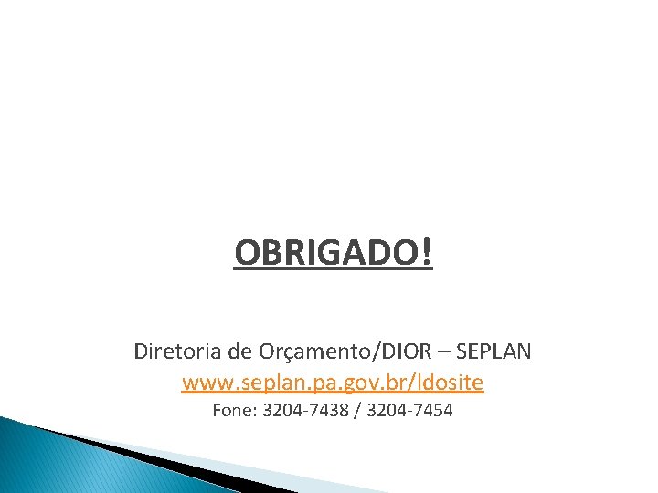 OBRIGADO! Diretoria de Orçamento/DIOR – SEPLAN www. seplan. pa. gov. br/ldosite Fone: 3204 -7438