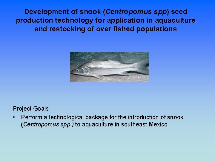 Development of snook (Centropomus spp) seed production technology for application in aquaculture and restocking