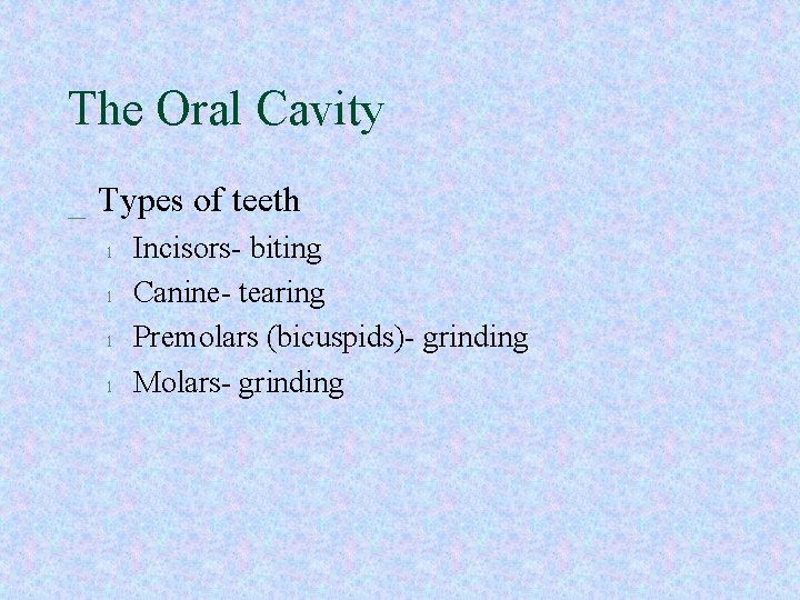 The Oral Cavity _ Types of teeth l l Incisors- biting Canine- tearing Premolars The Oral Cavity _ Types of teeth l l Incisors- biting Canine- tearing Premolars
