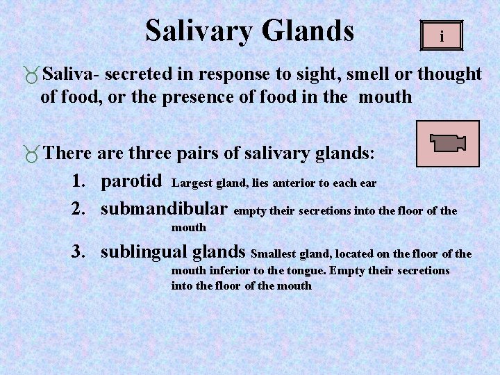 Salivary Glands i Saliva- secreted in response to sight, smell or thought of food,