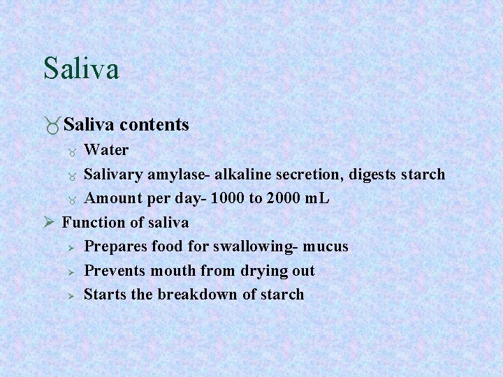 Saliva contents Water Salivary amylase- alkaline secretion, digests starch Amount per day- 1000 to