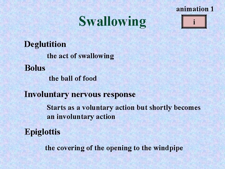 animation 1 Swallowing i Deglutition the act of swallowing Bolus the ball of food