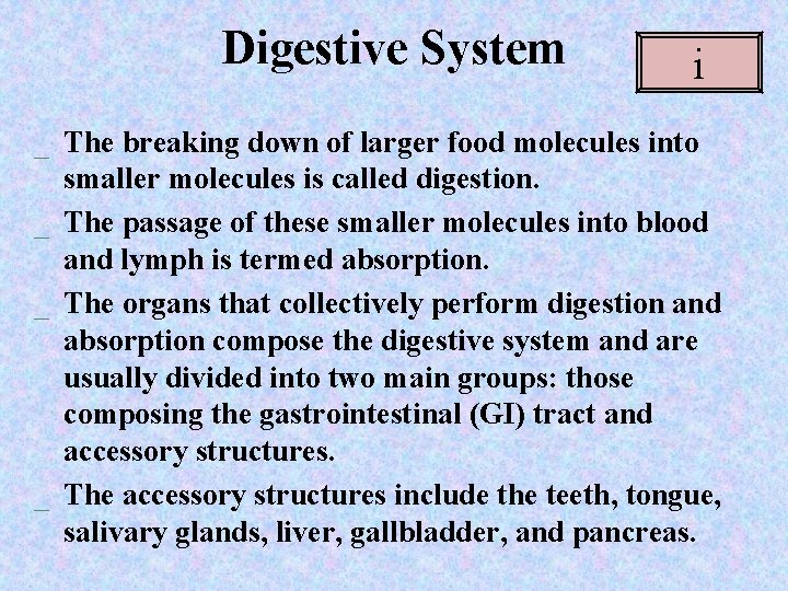 Digestive System i _ The breaking down of larger food molecules into smaller molecules