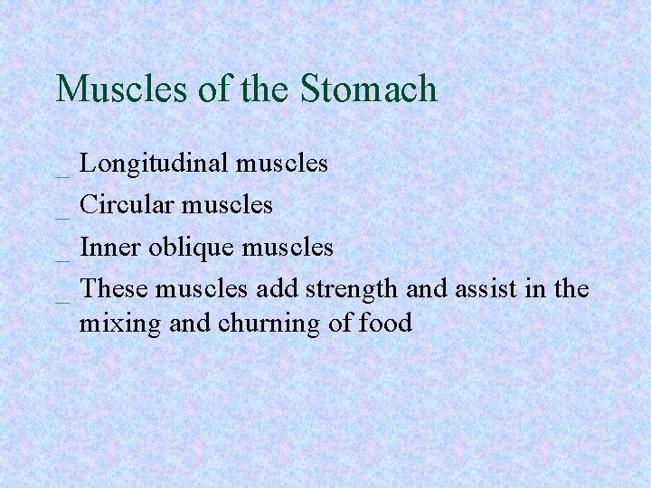 Muscles of the Stomach _ _ Longitudinal muscles Circular muscles Inner oblique muscles These Muscles of the Stomach _ _ Longitudinal muscles Circular muscles Inner oblique muscles These