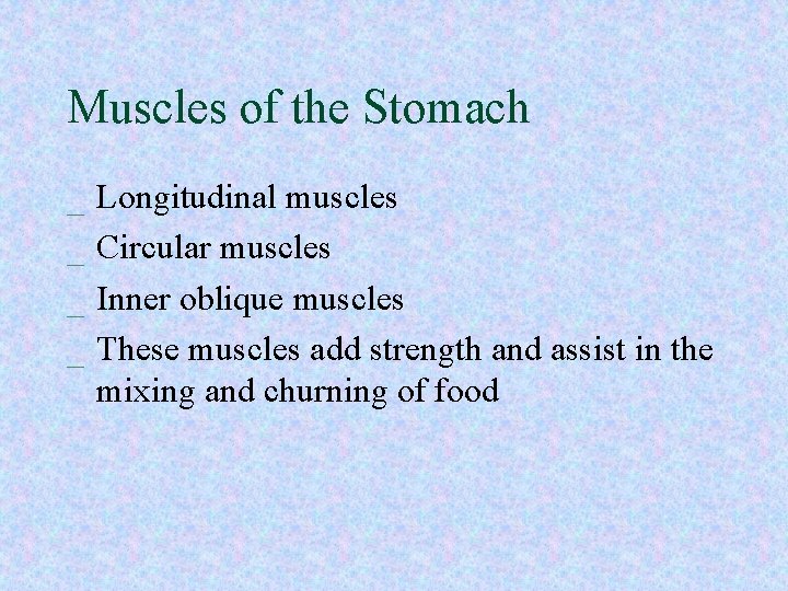 Muscles of the Stomach _ _ Longitudinal muscles Circular muscles Inner oblique muscles These