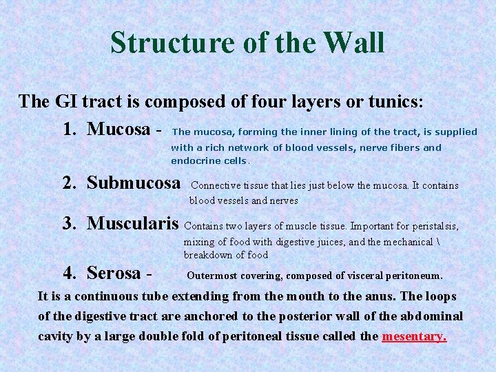 Structure of the Wall The GI tract is composed of four layers or tunics: Structure of the Wall The GI tract is composed of four layers or tunics: