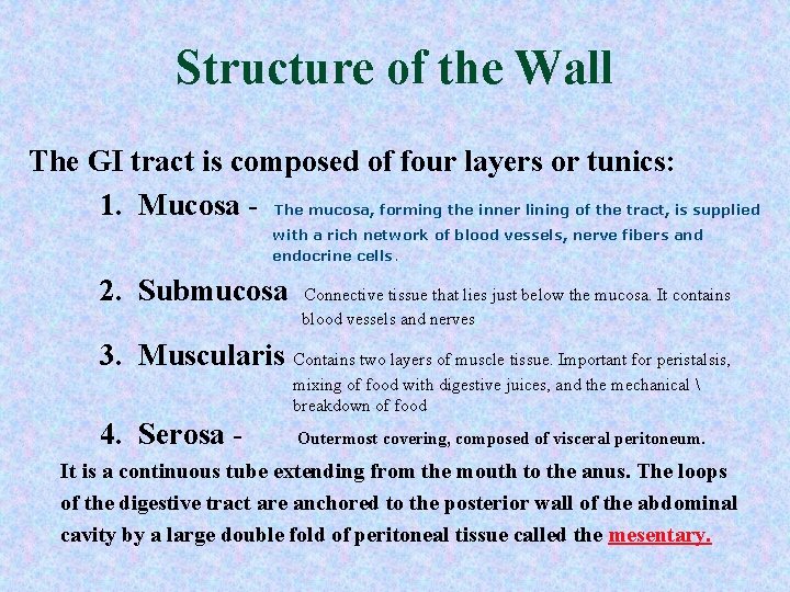 Structure of the Wall The GI tract is composed of four layers or tunics: