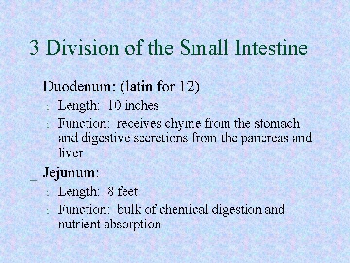 3 Division of the Small Intestine _ Duodenum: (latin for 12) l l Length: