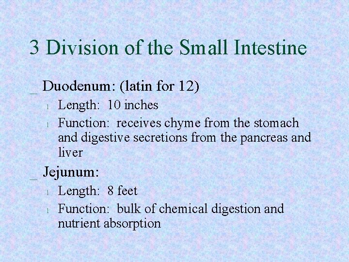 3 Division of the Small Intestine _ Duodenum: (latin for 12) l l Length: 3 Division of the Small Intestine _ Duodenum: (latin for 12) l l Length:
