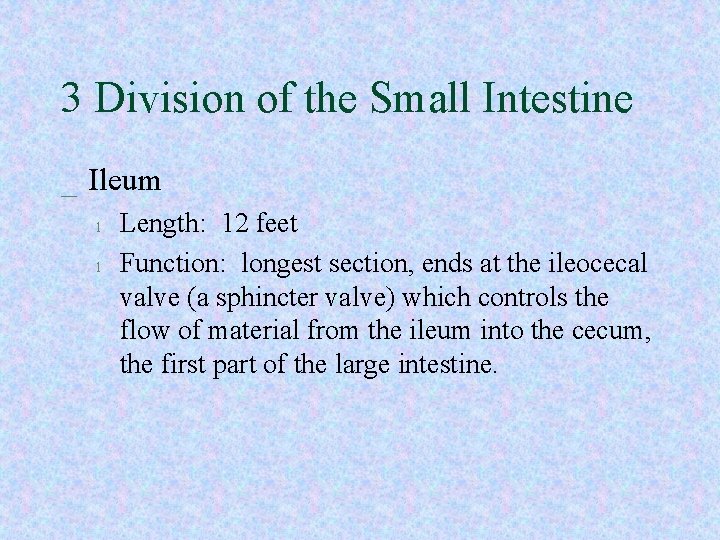 3 Division of the Small Intestine _ Ileum l l Length: 12 feet Function: