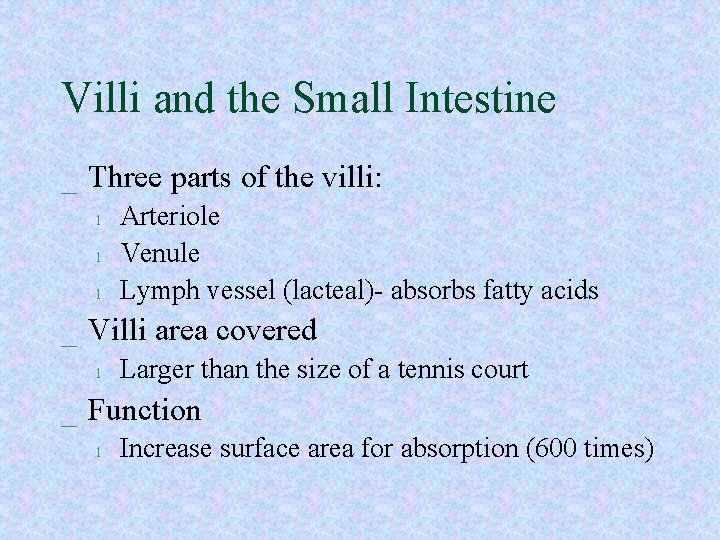 Villi and the Small Intestine _ Three parts of the villi: l l l