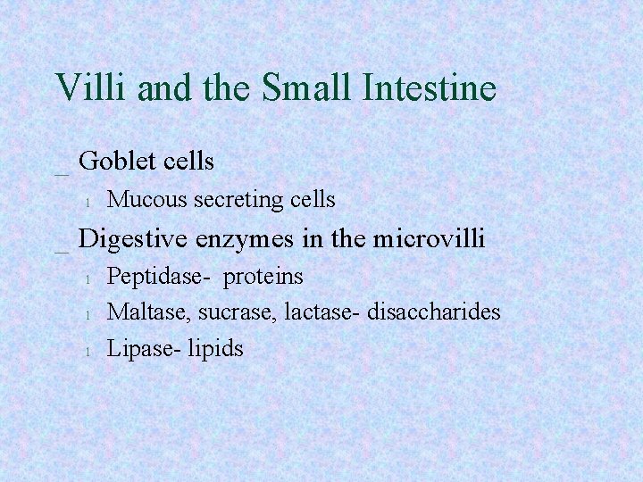 Villi and the Small Intestine _ Goblet cells l Mucous secreting cells _ Digestive Villi and the Small Intestine _ Goblet cells l Mucous secreting cells _ Digestive